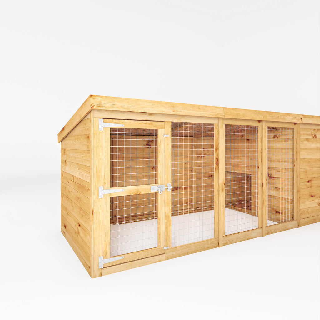 12 x 4 Berkshire Dog Kennel & Run